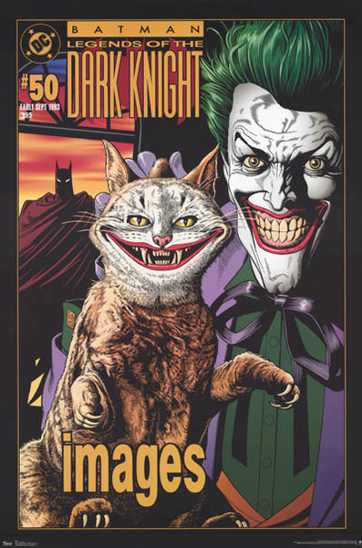 dark knight joker poster