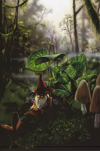 Richard Biffle Gnome Respite Poster 24x36 – BananaRoad