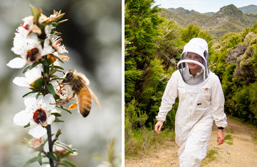 Beekeeping-woman-650px.jpg