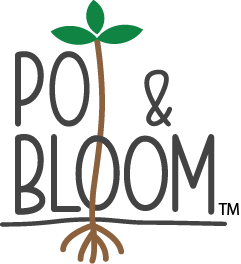 overal tack Veronderstellen Buy Plant Care Products From Online Garden Store India – Pot and Bloom