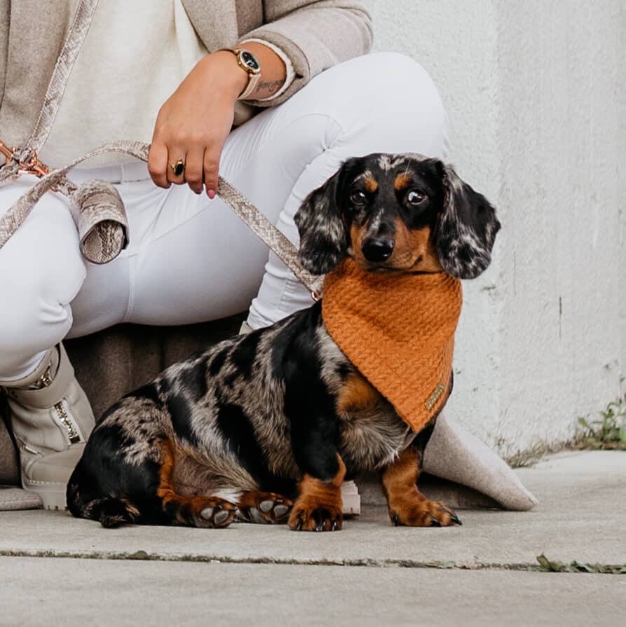 Honden bandana Cably Cognac