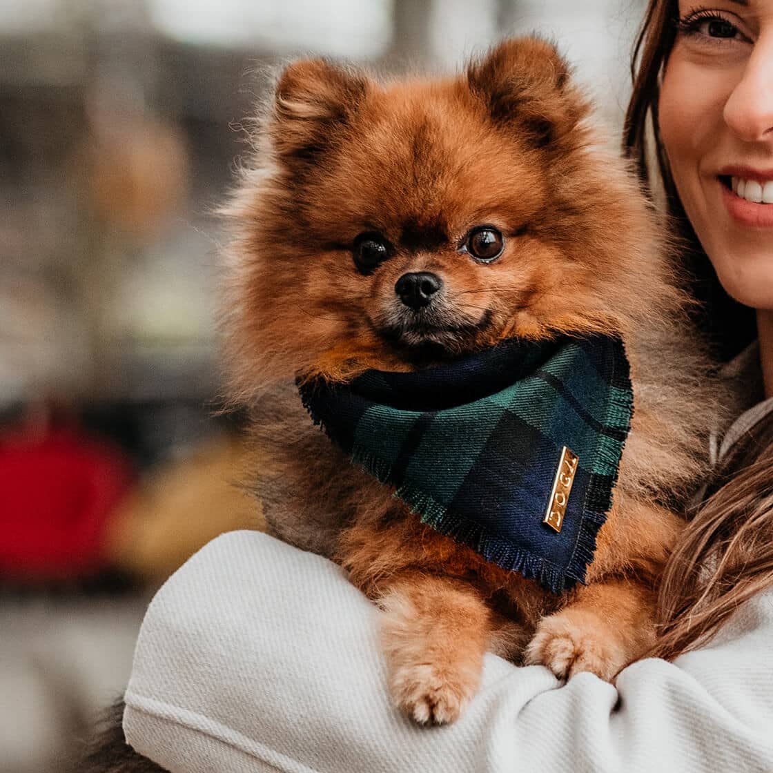 Honden bandana Mossy Tartan