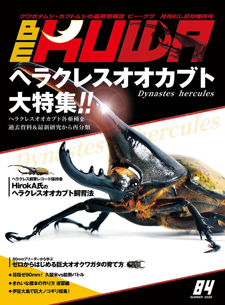 むし社ビークワNo.11〜36 26冊まとめ売り-