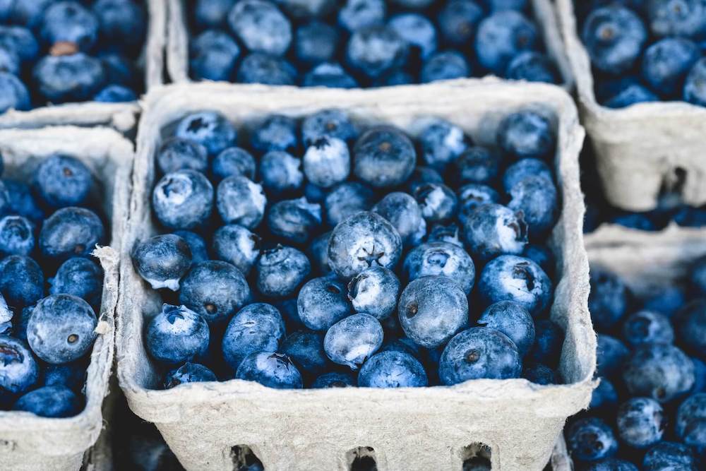 Blueberries in carton