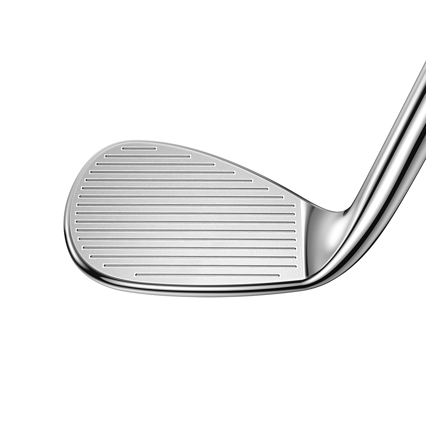 KING COBRA SNAKEBITE Wedge
