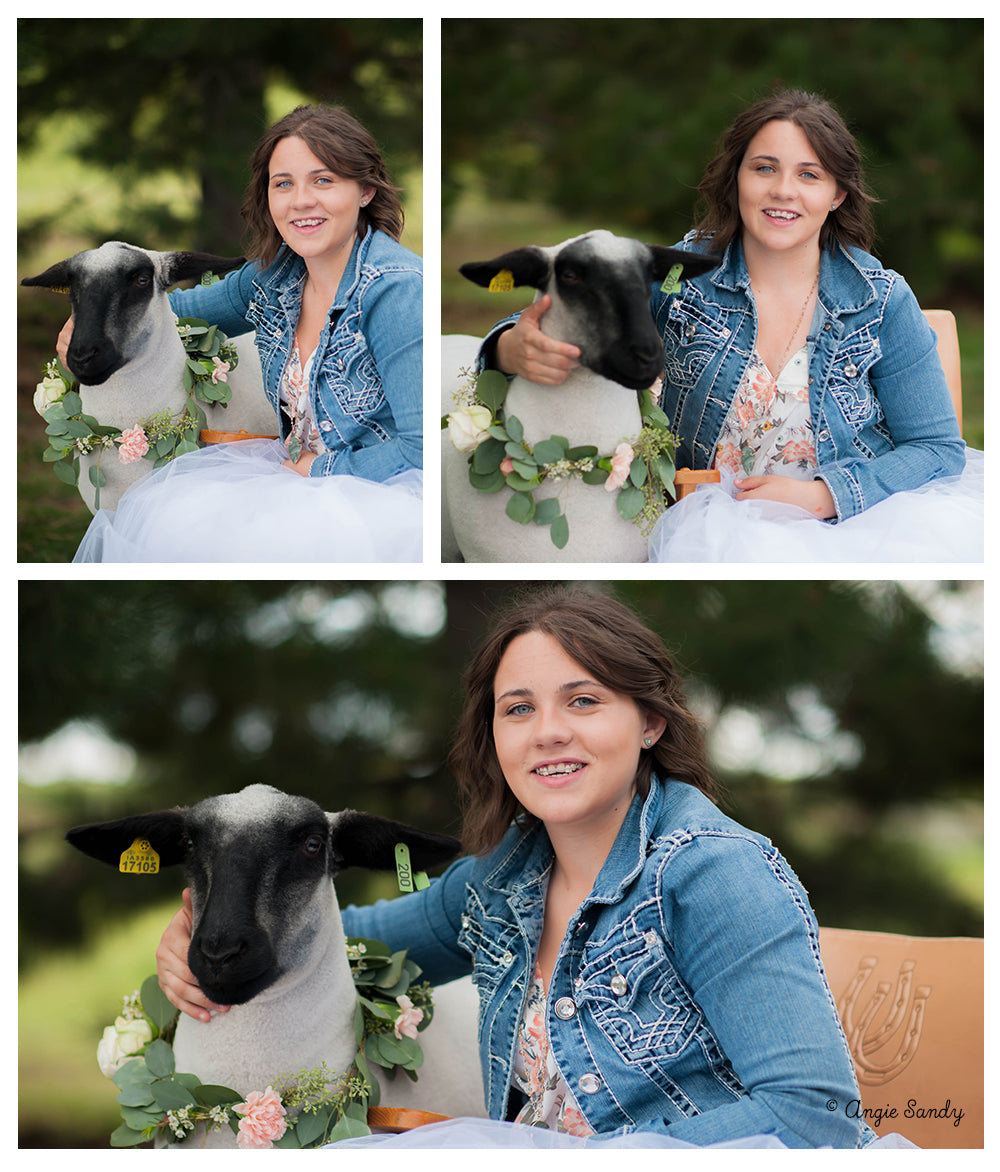 Sandy Sisters Lamb Photoshoot - Stock Show Life