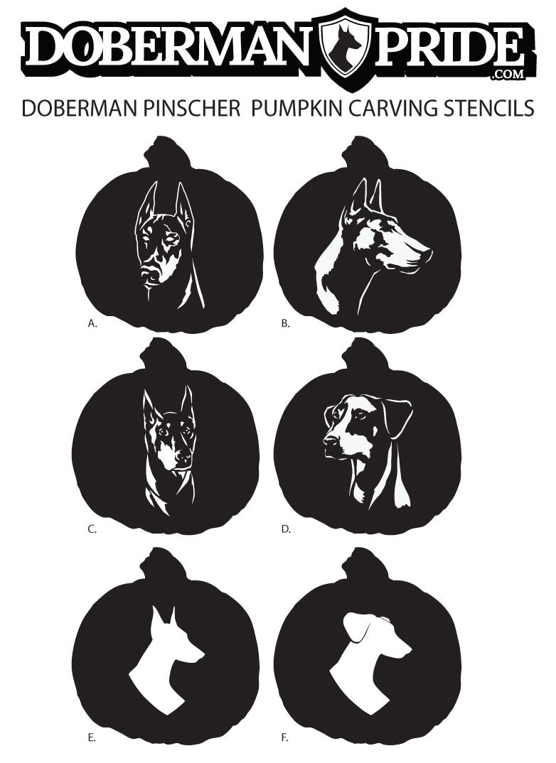 diy-doberman-pumpkin-carving-dobermanpride