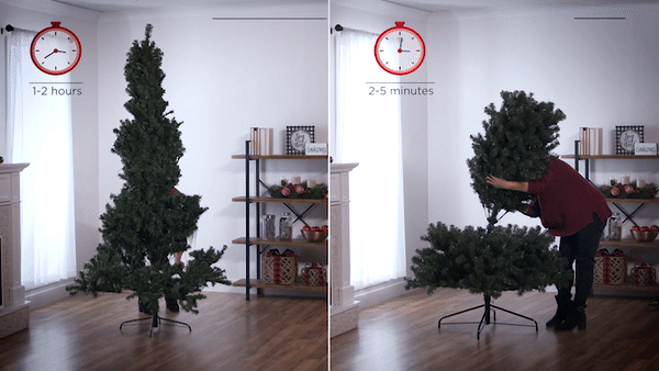 How to Setup Christmas Trees
