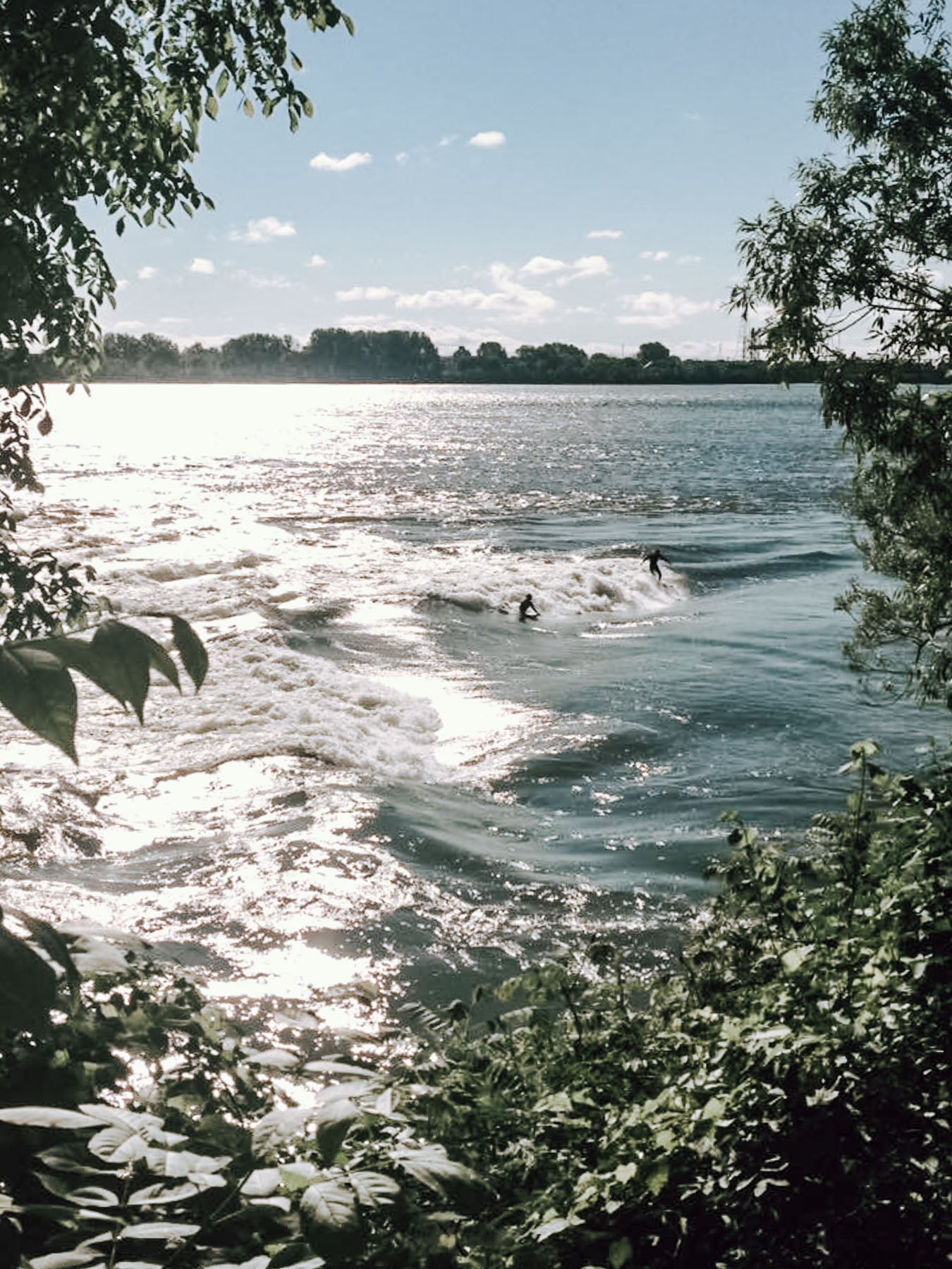 Tyler Megarry River Surfing in Montreal Habitat 67