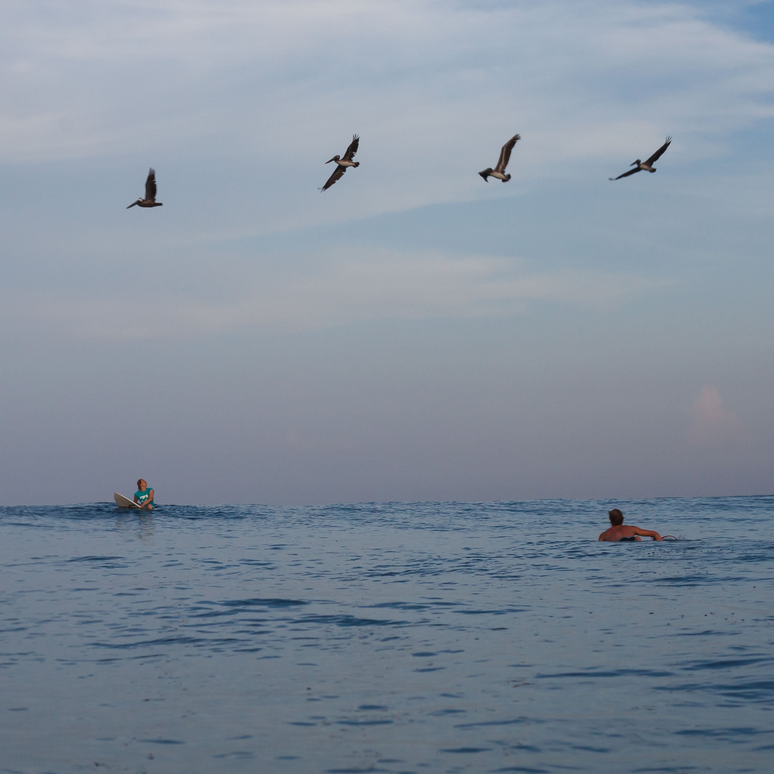 Connection with Nature Surf the Greats Surf Safari