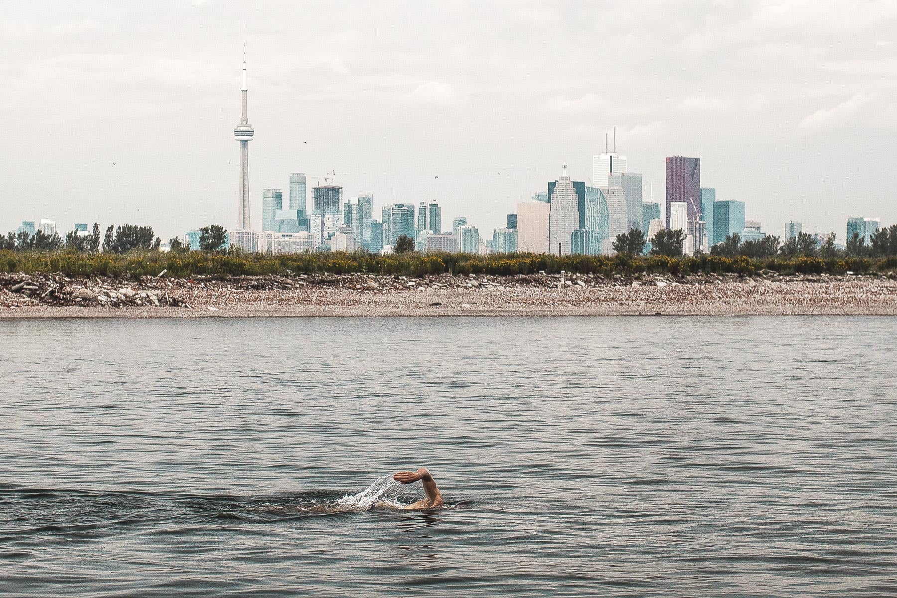 Surf the Greats Open Water Swimming Toronto Cold Water Great Lakes