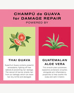 Guava Shampoo for Color Treated Hair and Damage Repair