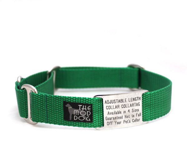 dog collars and tags