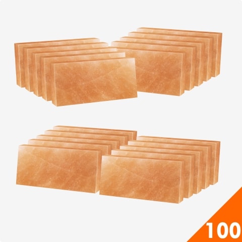 himalayan salt bricks bulk