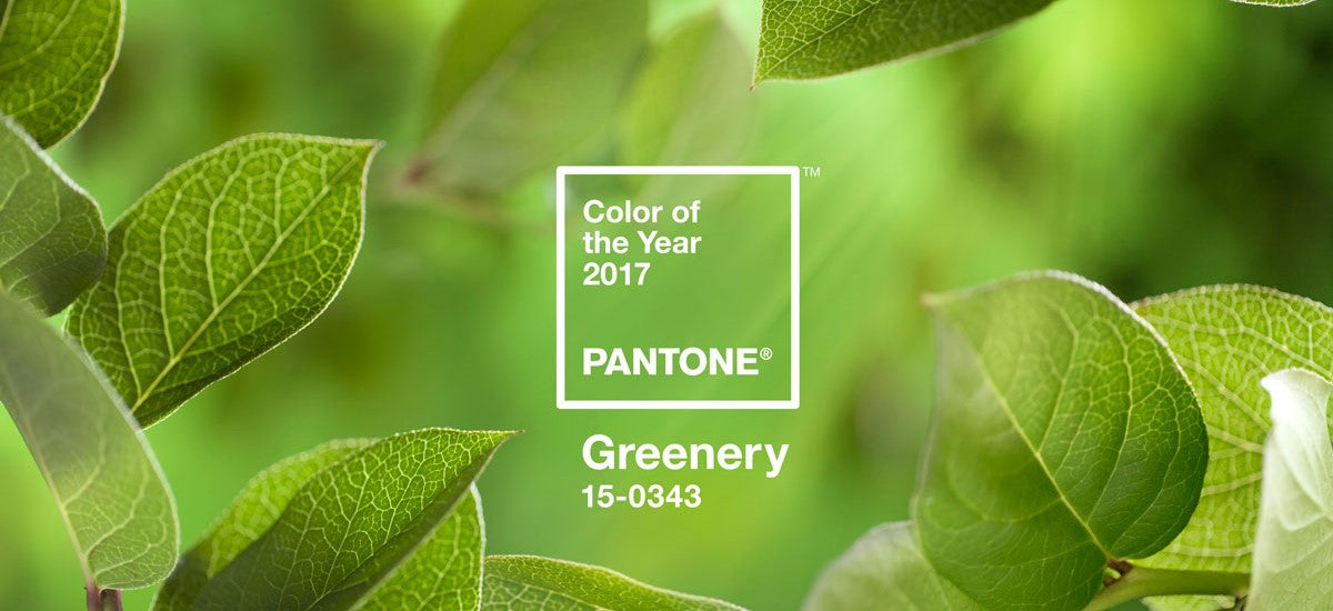 Colour of the Year 2017