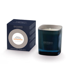 Esteban Paris Yuzu and Pink Salts Candle