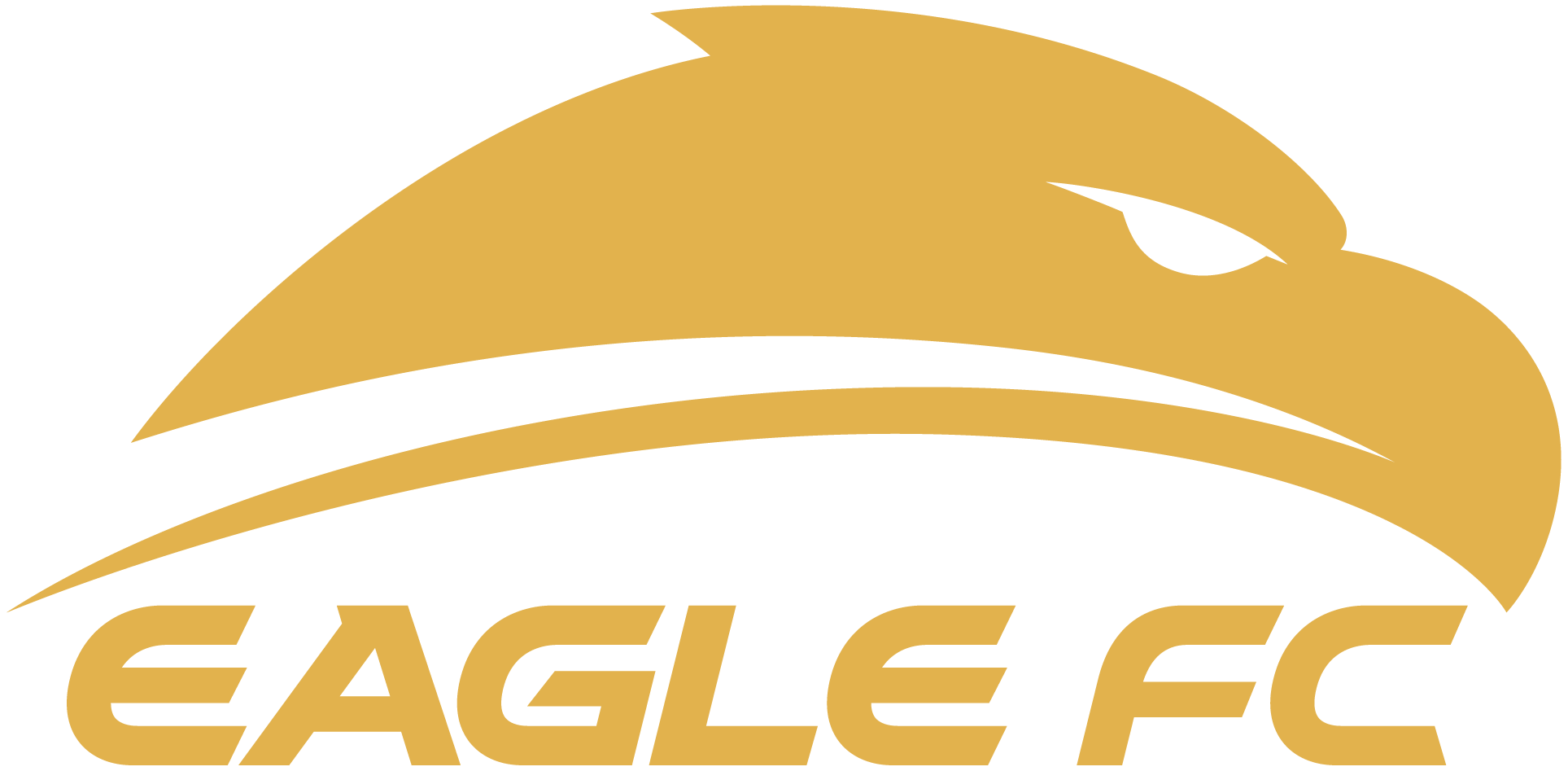 eaglefc.com