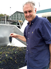 Don with shiraz fruit in the destemmer hopper.