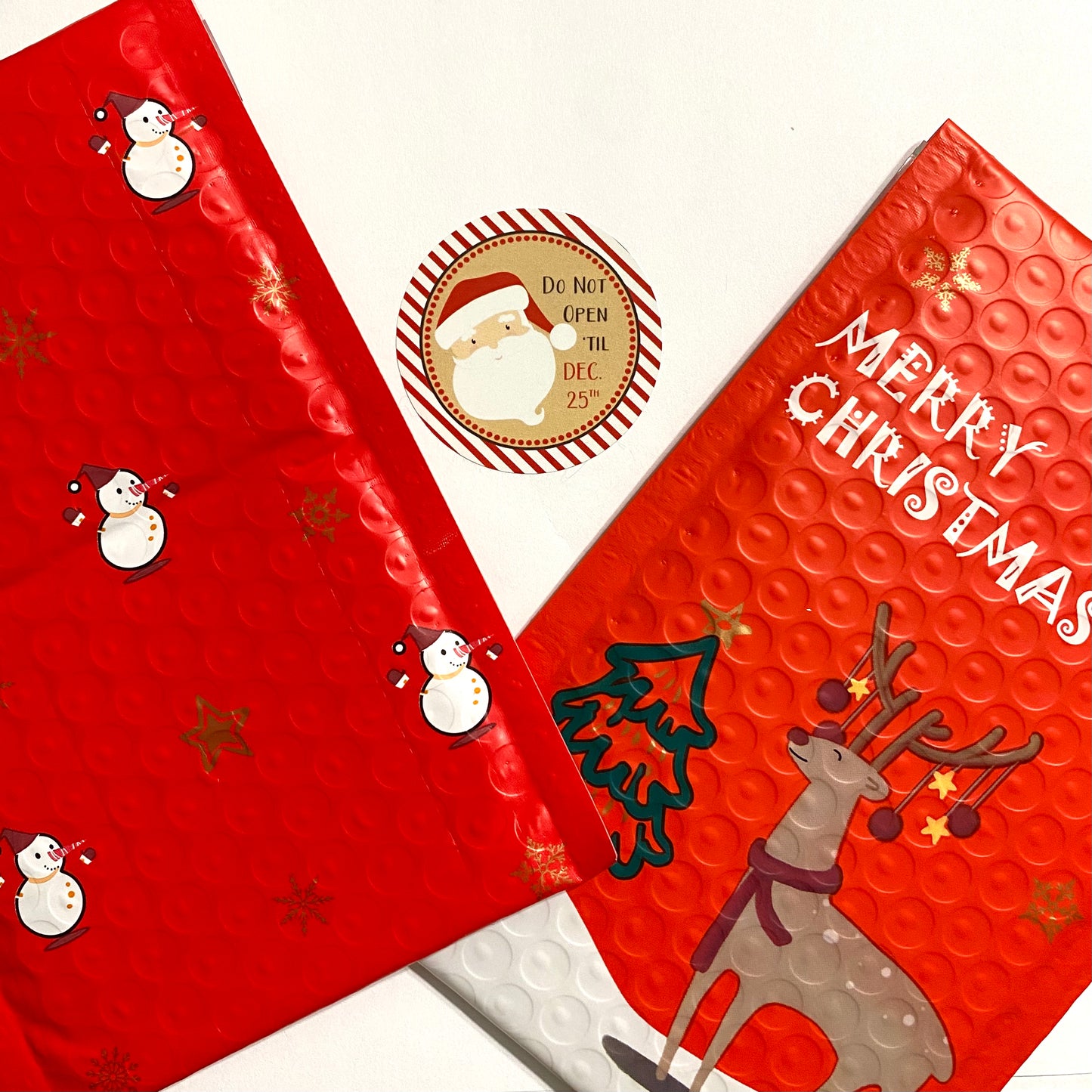Holiday Shipping Envelope