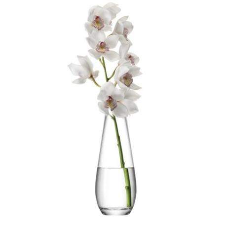 LSA Flower Tall Stem 29cm Vase - Clear