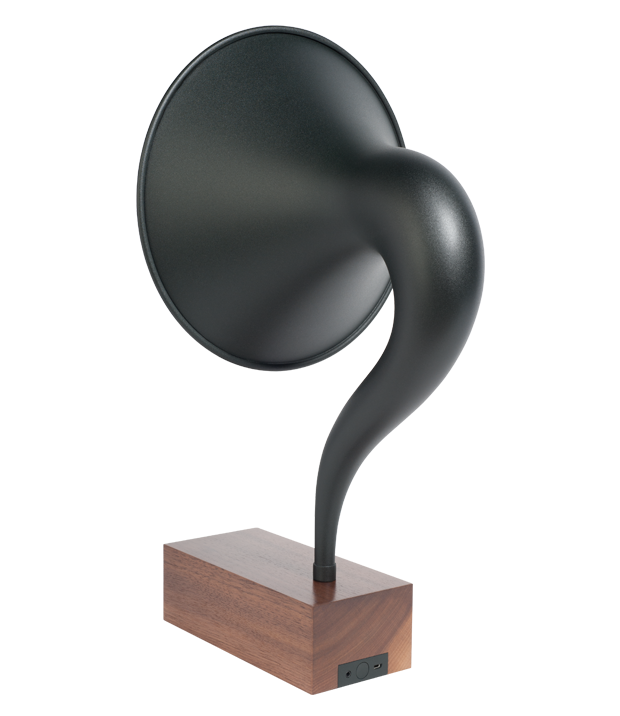 Bluetooth Gramophone - In Scene