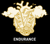 Endurance Sports Show
