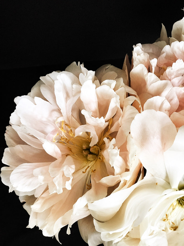 peony print artwork greige design shop + interiors