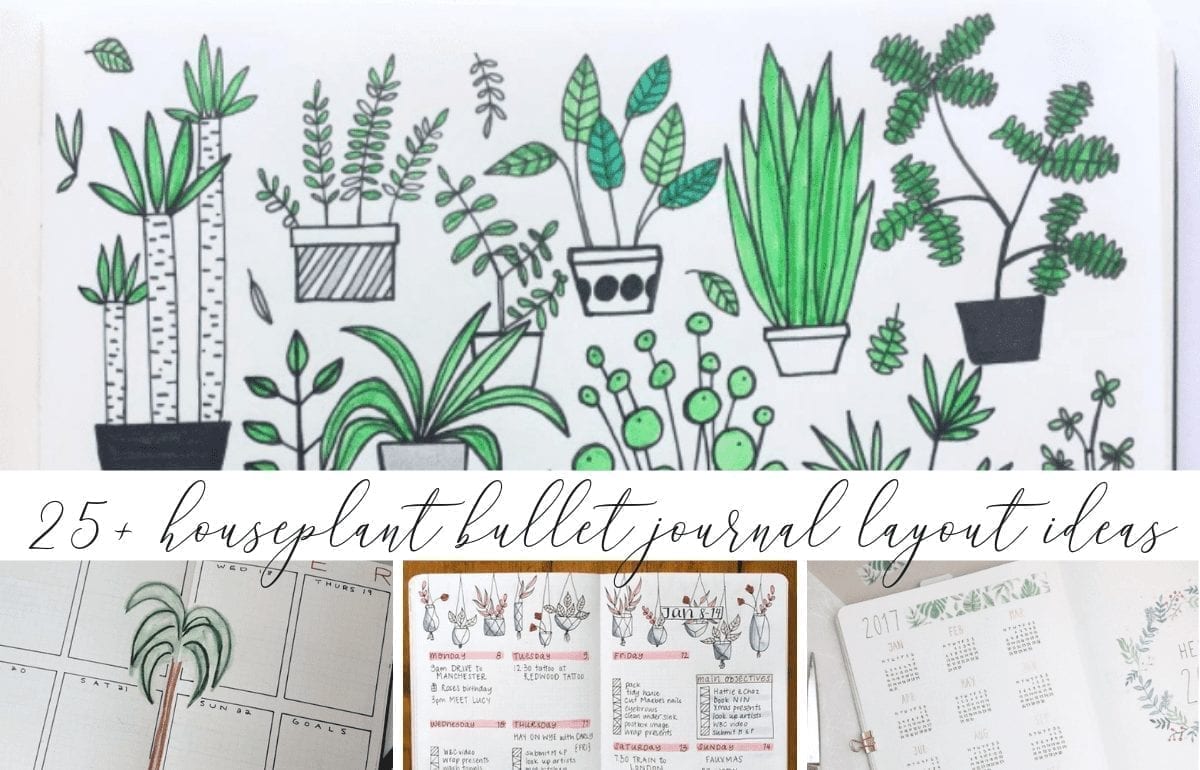 25+ Houseplant Layouts You In Your Bullet Journal – Shop