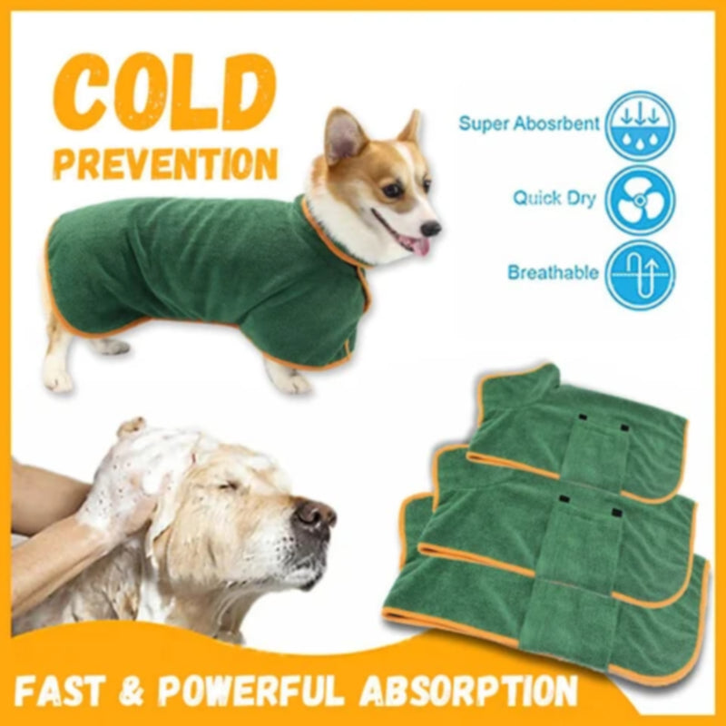 are dogs afraid of cold
