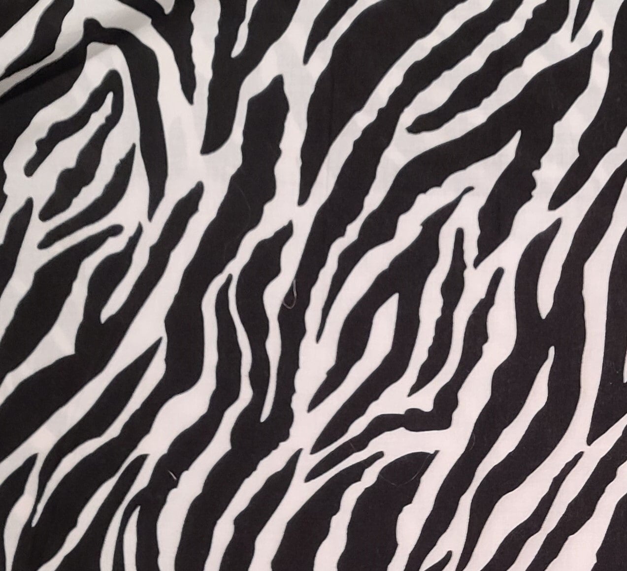 White and Black Zebra Stripe Print Fabric - 54