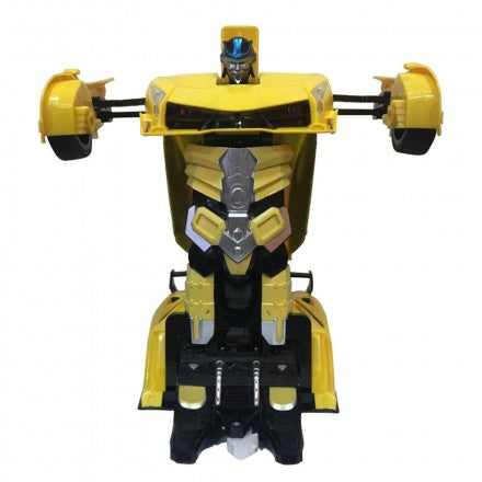 rc transbots