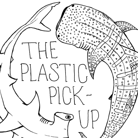 The Plastic Pick-Up