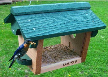 Enclosed Bluebird Feeder