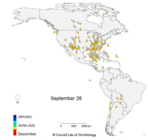 Migration Map from Cornell Lab