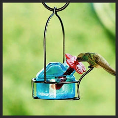 Glass Hummingbird Feeder