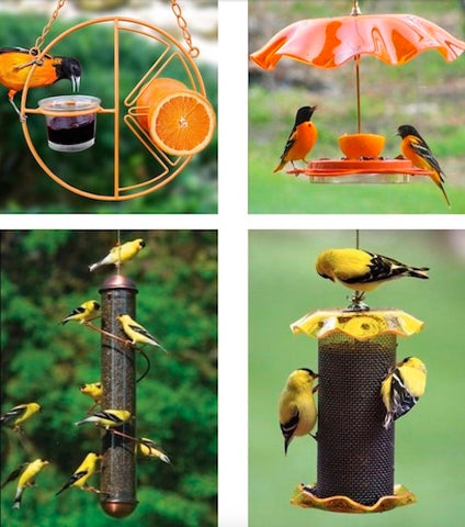 Shop Oriole and Thistle Bird Feeders