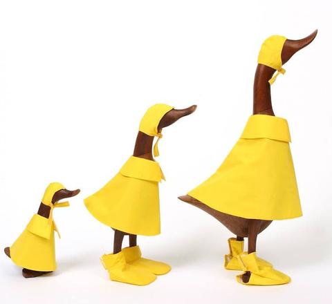 Teak Wood Puddle Duck Family