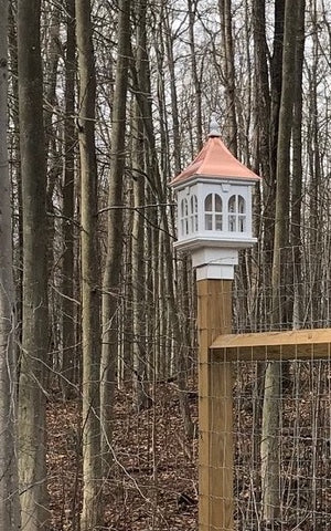 Copper Bird Feeder Mounted on Fence Post