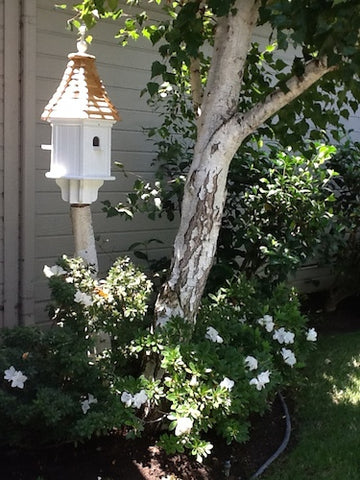 dovecote birdhouse mounted on tree limb