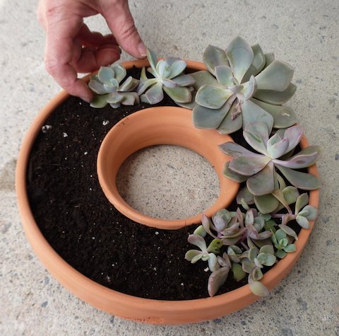 Living Wreath Planter for Succulents