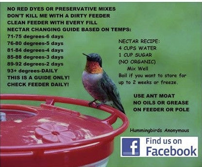 Hummingbird Nectar Guide and Temperature