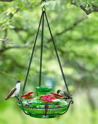 Glass Hummingbird Feeder Gift