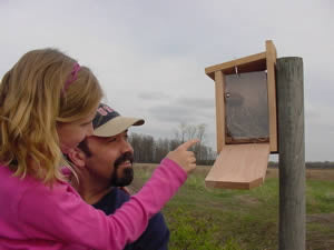 Monitoring a Bluebird Nest