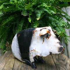 Spotted pig metal yard art