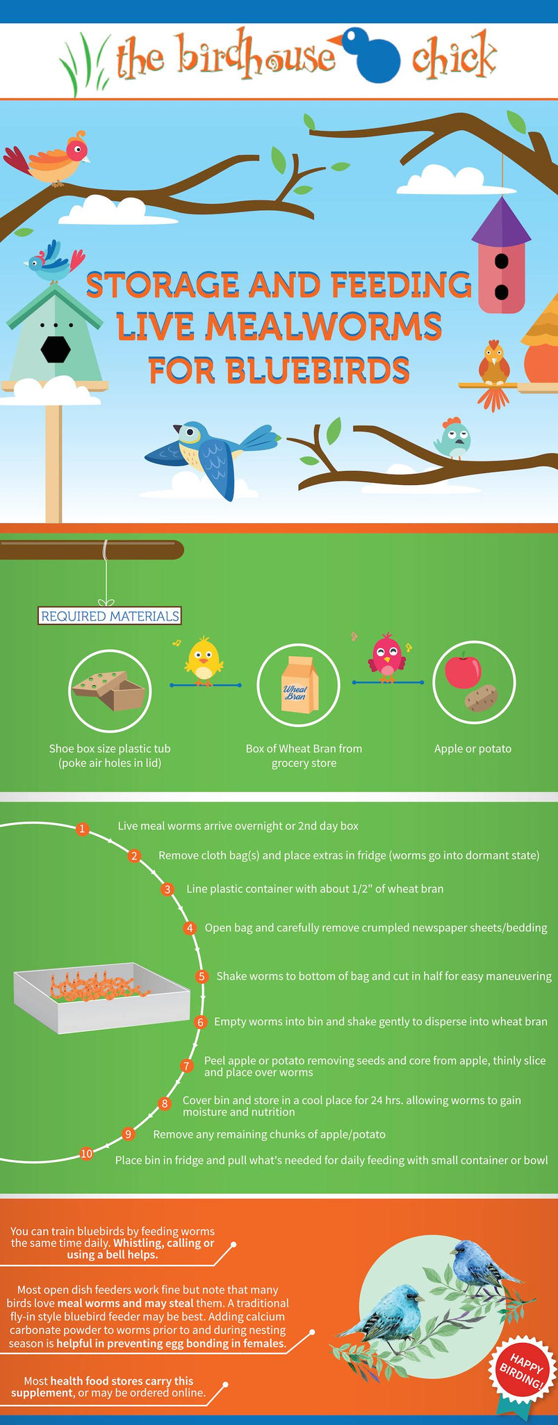 Handling and Storing Live Mealworms for Bluebirds