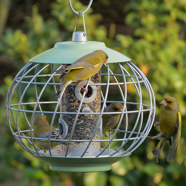 Nuttery Squirrel Proof Seed Feeder Caged Bird Feeders