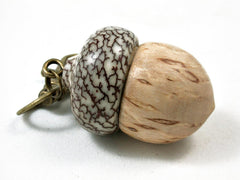 LV-3012 Masur Birch and Betel Nut Acorn Key Fob, Pill Holder, Memorial Pendant-SCREW CAP