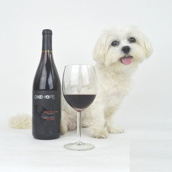 best wines to support dog causes
