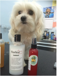 yorkie splash and shine shampoo best artisan dog treats little ls krak'ems