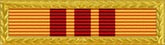 Republic of Vietnam (RVN) Presidential Unit Citation - AF/N/MC/CG Frame